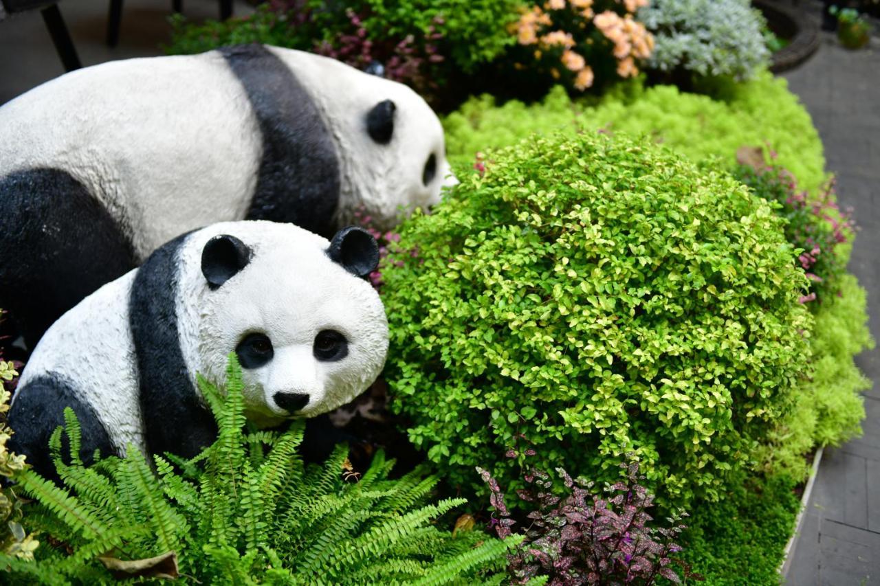 Xishu Garden Inn - Travel Agency Service - Car Rent Service - English Speaking Τσενγκντού Εξωτερικό φωτογραφία